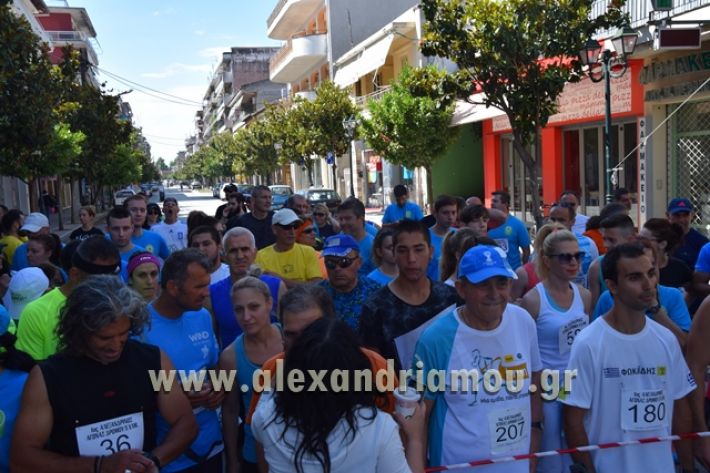 alexandriamou_1_alexandrinos_dromos074